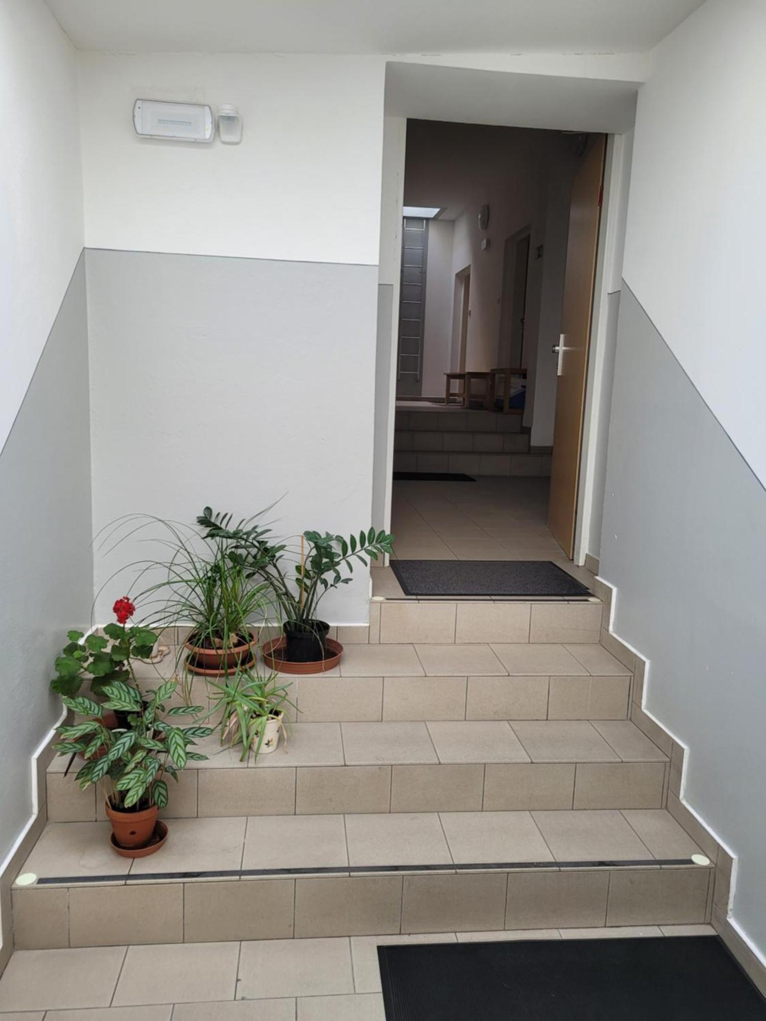 Appartement Pod Strechou à Svoboda nad Úpou Extérieur photo
